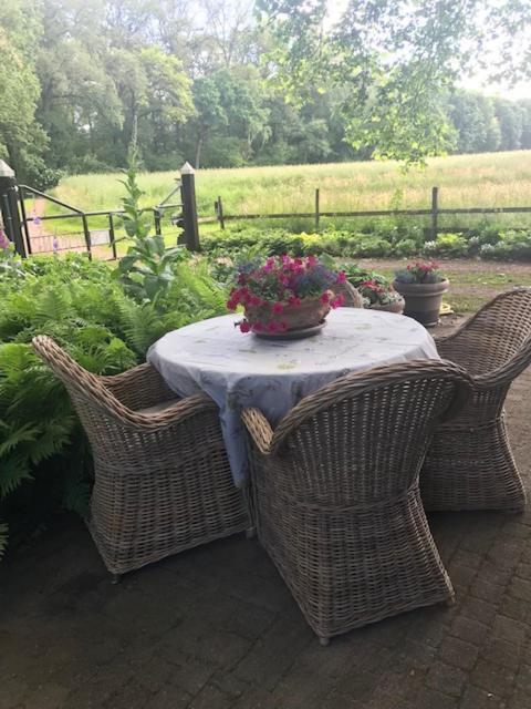 Erve Nijkamp Villa Tubbergen Екстериор снимка